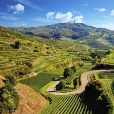 Deal 3 Tage Bahlingen am Kaiserstuhl Kurzreise | Gutschein 3*Hotel ÜF 2 Personen