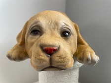 Golden retriever welpe deko - golden,