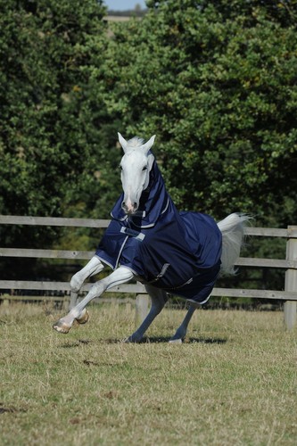 Bucas freedom turnout light - freedom,
