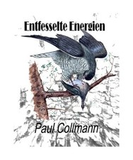 Entfesselte Energien: Roman