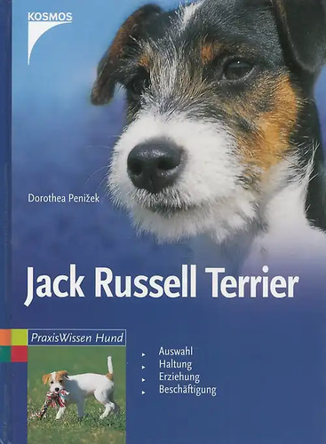 Jack russell terrier - russell,