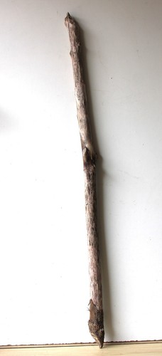 Treibholz schwemmholz - treibholz,
