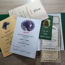 Mappe mit Dokumenten Hund Hundesleben Urkunde Zertifikat Prüfungen