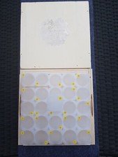 Arche Noah Münz Tubes, Münztubes für 1oz Silbermünze, Original 