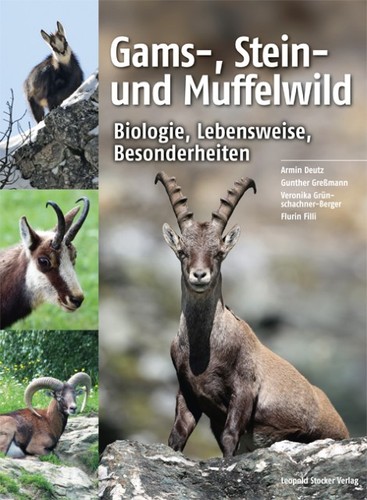 Gams stein und muffelwild - stein-,