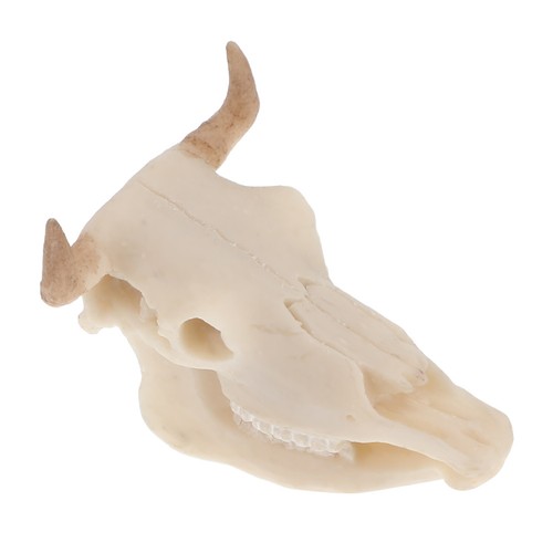 Totenkopf-ornament-dekoration