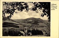 Ak Olsberg im Sauerland, Panorama vom Langenberg gesehen - 4891501
