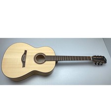 Höfner Acoustic Green Line HA