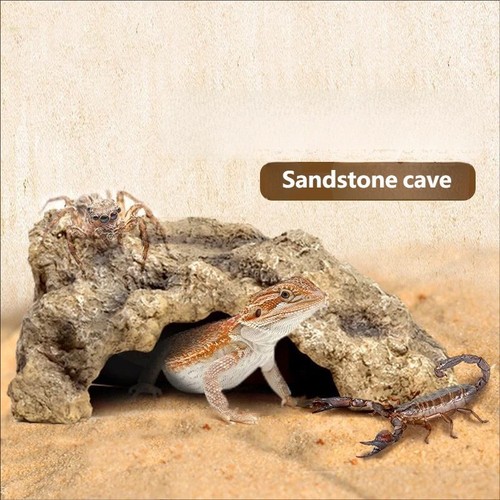 Reptil robust sandstein - robust,