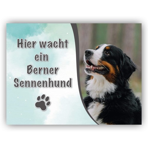 Berner sennenhund schild - sennenhund,