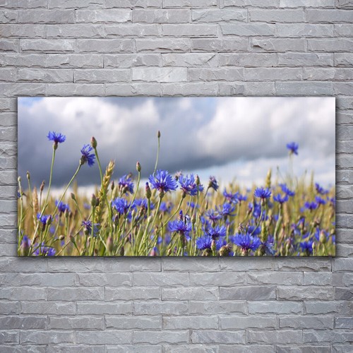 Acrylglasbilder wandbilder - acrylglasbilder,