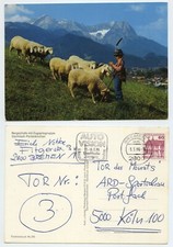 110130 - Bergschafe mit Hirtenjungen - Zugspitzgruppe - AK, gelaufen 3.3.1986