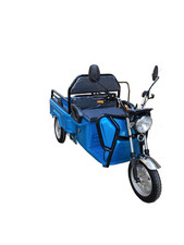 VOLTA VT5 mini Elektro Lastendreirad 25 Km/h  Cargo Transporter Seniorenmobil