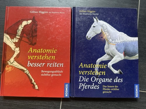 Gillian higgins anatomie - gillian,