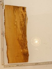 Olivenholz Epoxid Holz 3,7cm