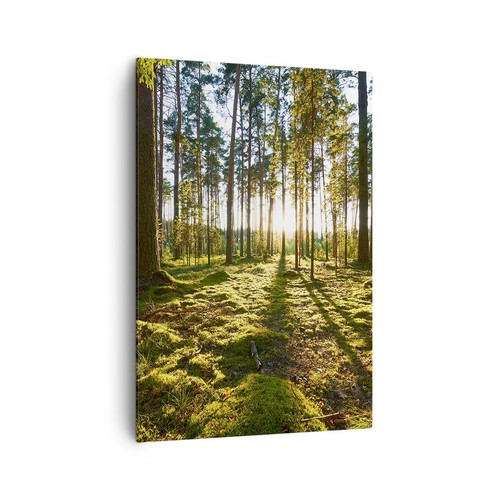 Wandbilder 70x100cm