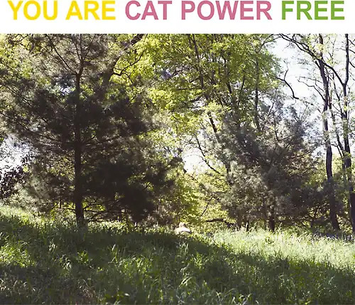 Cat power you are - cat, free