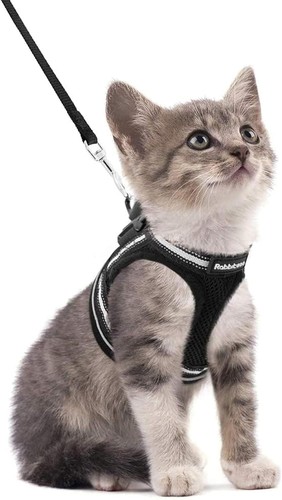 Katzengeschirr mit leine - katzengeschirr,