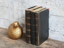Chic antique alte - alte, bücher