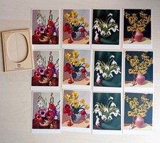 12 ältere Frühlings Blumen