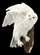 Wandrelief schneeeule auf - wandrelief,
