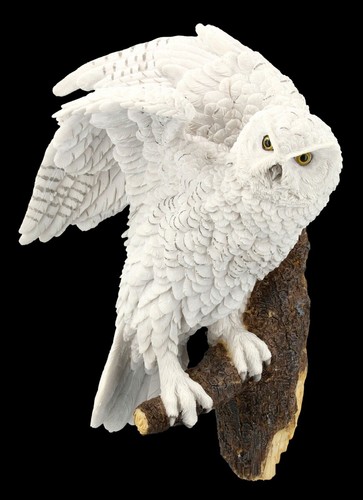 Wandrelief schneeeule auf - -,
