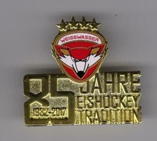 Eishockey Pin NHL / DEL
