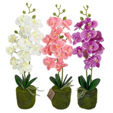 Künstliche orchidee ohne topf - orchidee,