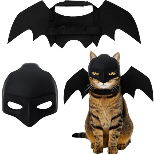 Fledermaus kostüm katzen - fledermaus,