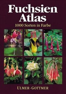 Fuchsien atlas 1000 - fuchsien-atlas:, in