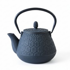 Teekanne aus gusseisen mit - teekanne,