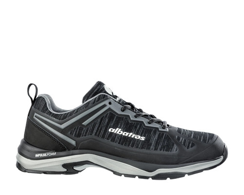 Albatros skyrunner low - albatros,