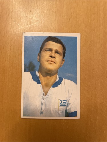 Bergmann 1965 230 talaszus - bergmann,