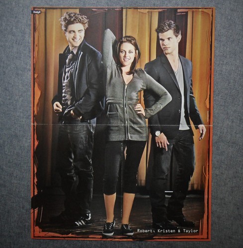 Poster the twilight - the,