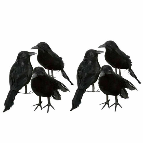 6er set schwarz - 6er-set, taubenschreck
