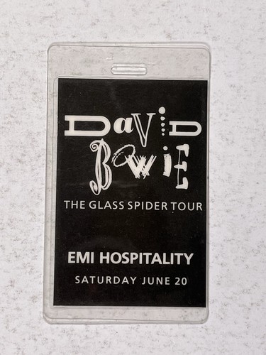 David bowie laminate pass - david,