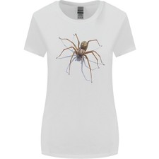 Grauenhaft Spinne Halloween 3D