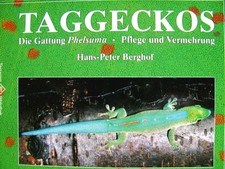 Taggeckos Die Gattung Phelsuma