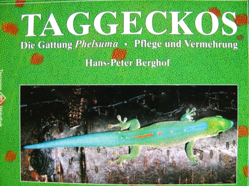 Taggeckos die gattung phelsuma - taggeckos,