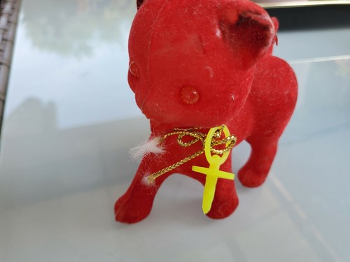 Rote katze mit - katze, schnuller