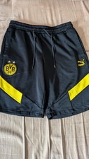 Bvb borussia dortmund iconic - bvb,