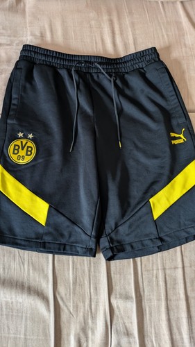 Bvb borussia dortmund iconic - bvb,