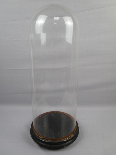 Glasdom stolp mit holzsockel - mit,