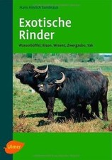 Exotische Rinder