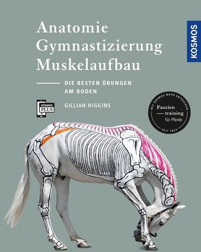 Anatomie gymnastizierung - anatomie,,