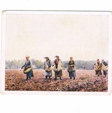 Auf Deutscher Scholle Nr. 52