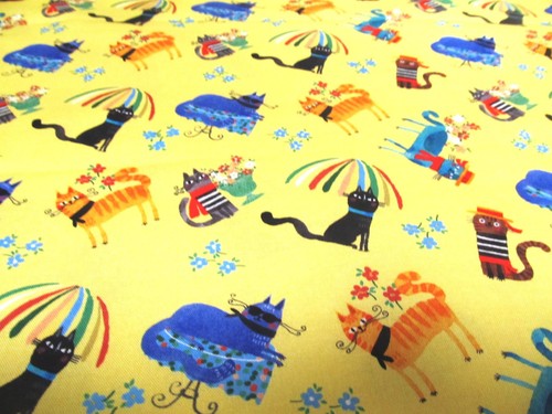 Katzen katze cats ciao - ,