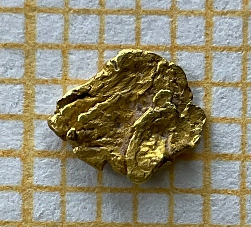 Echtes goldnugget - xl,