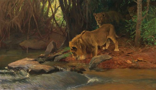 Wilhelm kuhnert löwen - wilhelm,