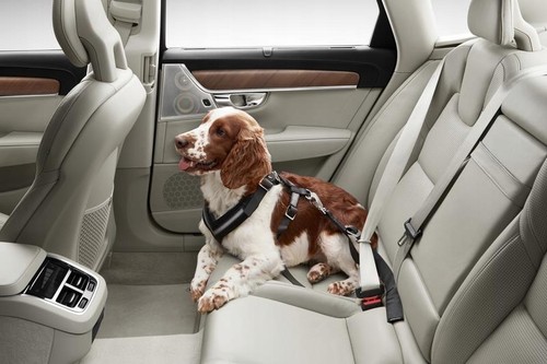Volvo gurtzeug hundegurt - gurtzeug,